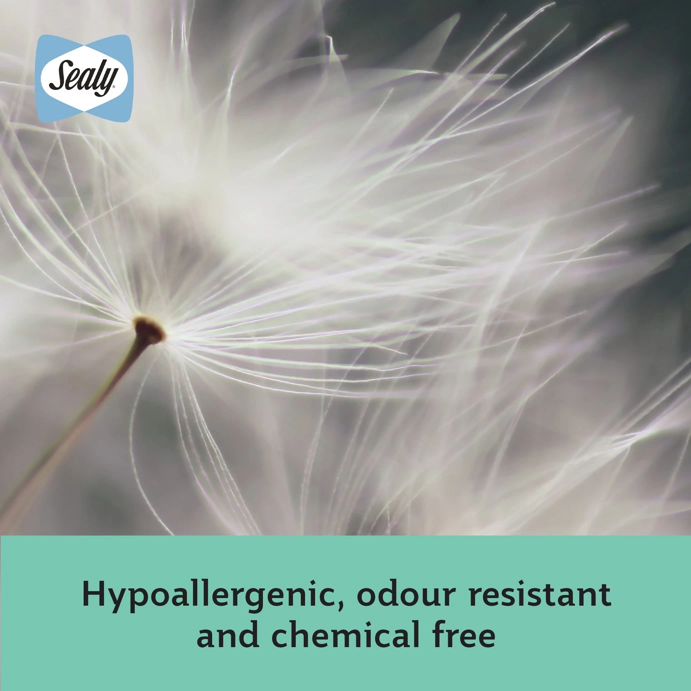 Sealy Anti Allergy Hollowfibre Mattress Topper - Double - Image 7