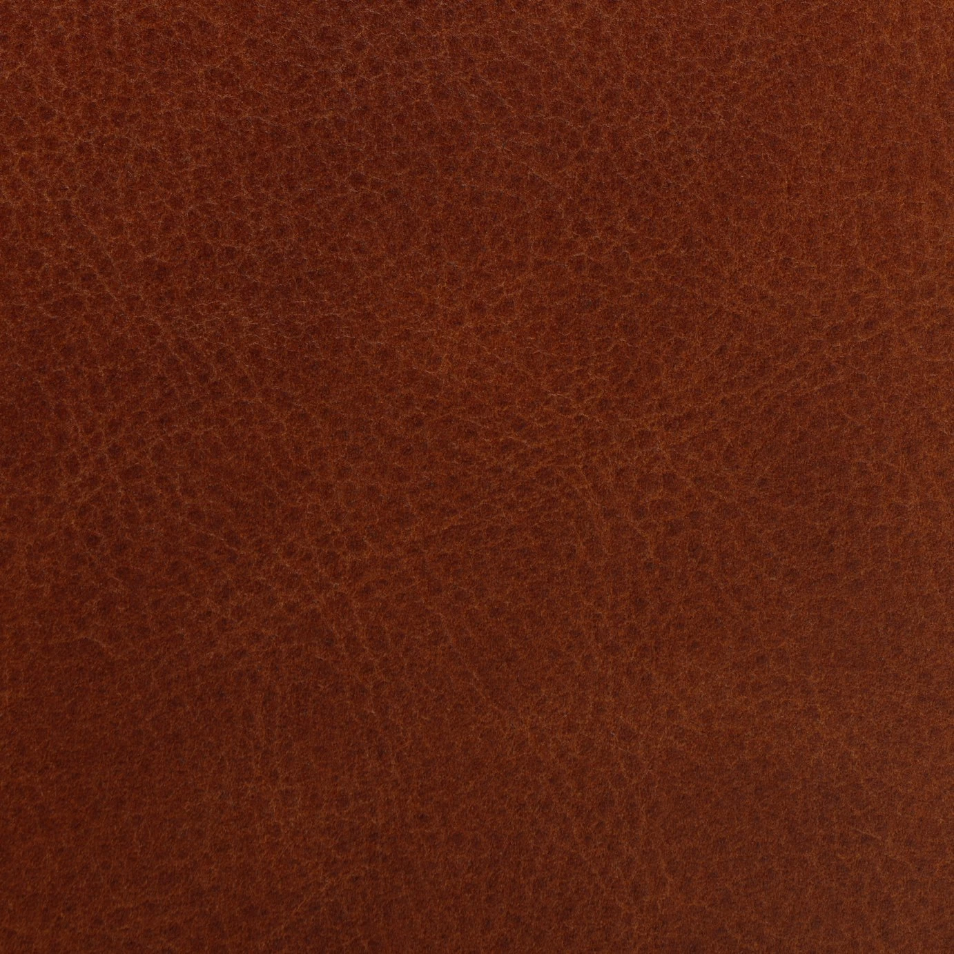 Habitat Chester Leather Armchair - Tan - Image 3