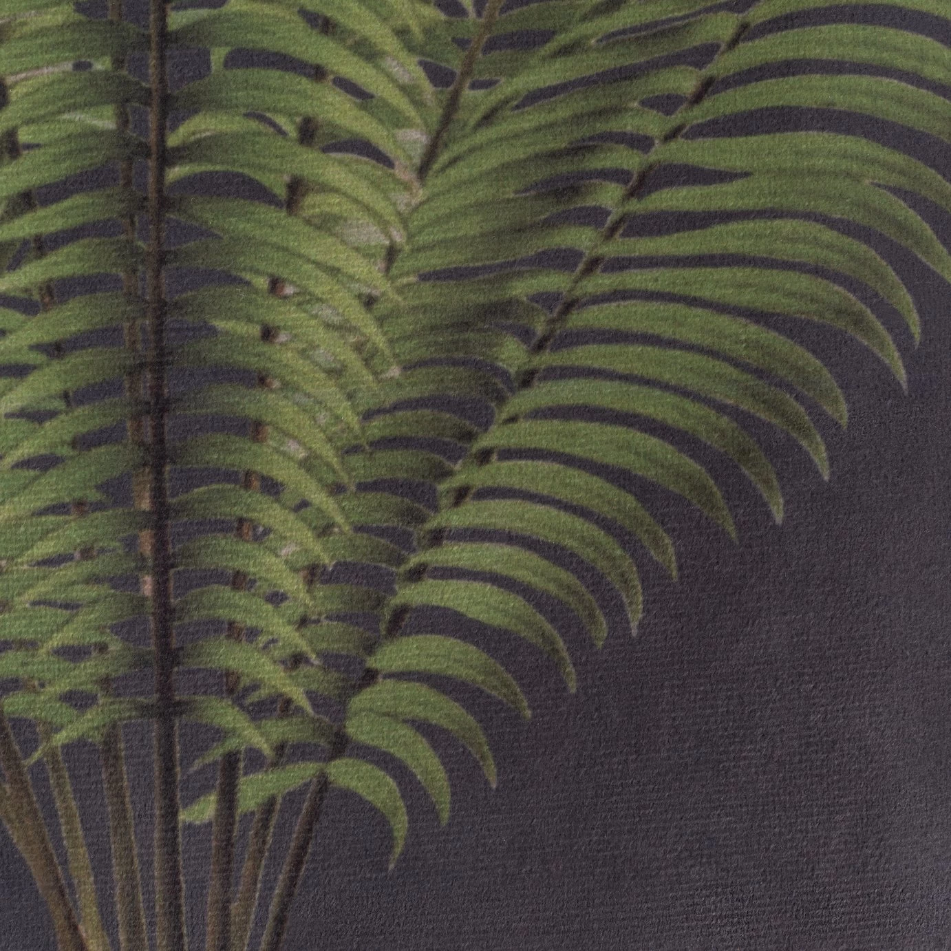 Habitat Graphic Palm Printed Throw - Black - 125X150cm - Image 2