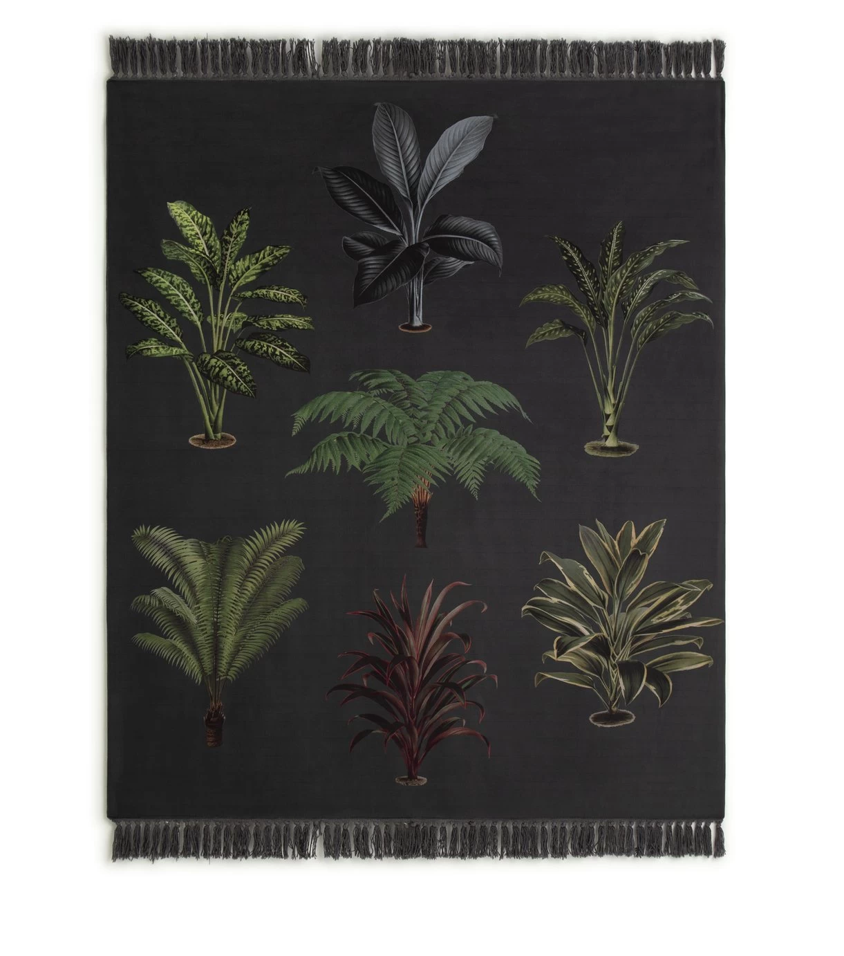 Habitat Graphic Palm Printed Throw - Black - 125X150cm - Image 5