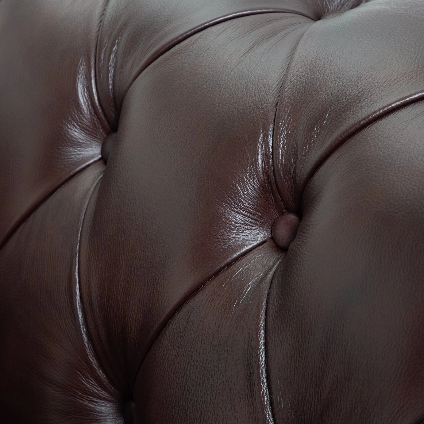 Habitat Chesterfield Leather Armchair - Walnut - Image 5