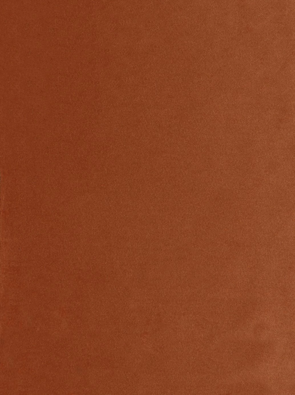 Habitat Roma Small Double Velvet Chairbed - Orange - Image 6